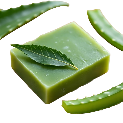 Alvela